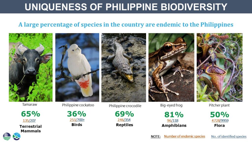 Endemism & Uniqueness of Philippine Biodiversity Philippine Clearing House  Mechanism