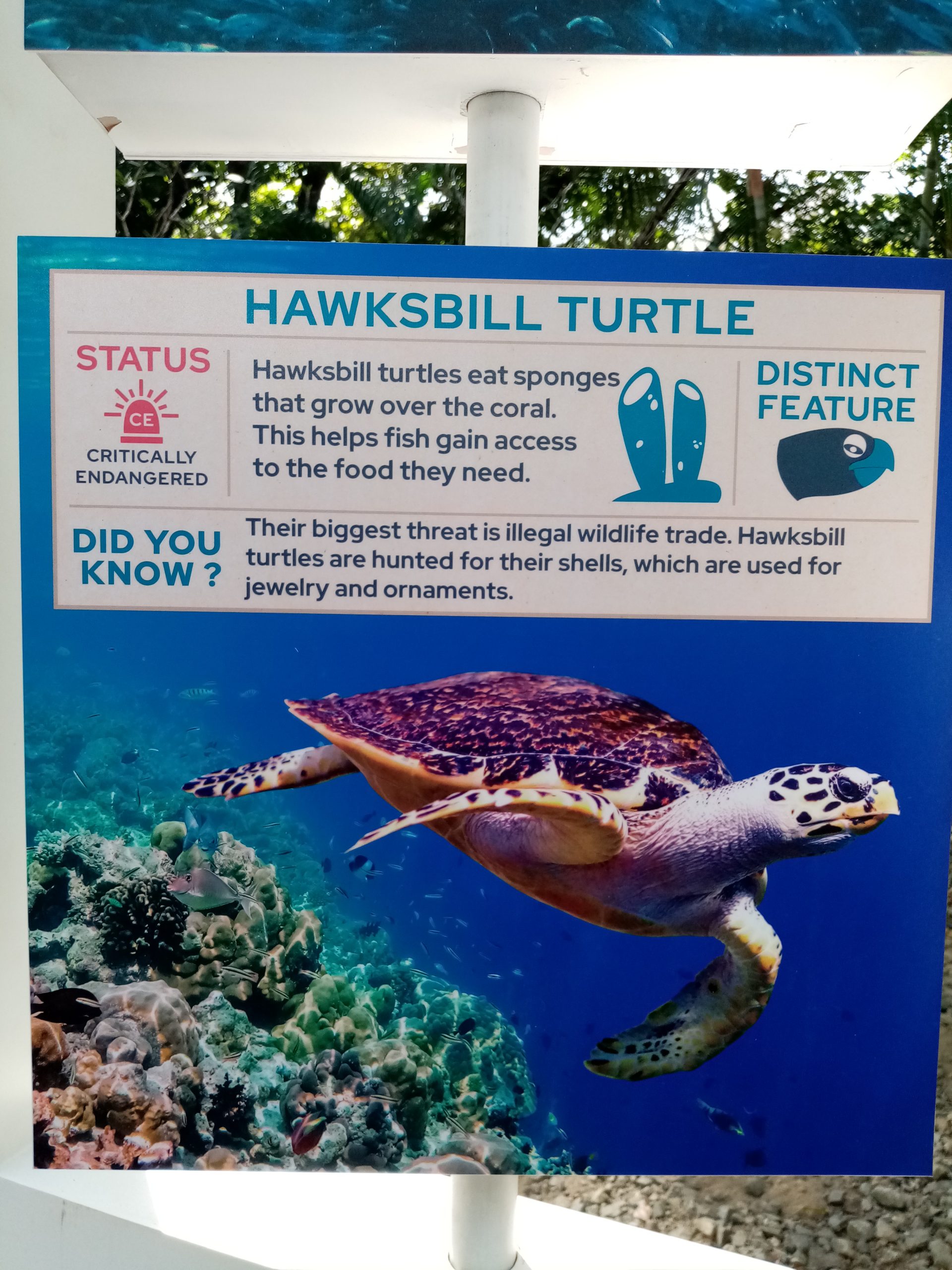 Protect Wildlife (Philippines) Philippine Clearing House Mechanism