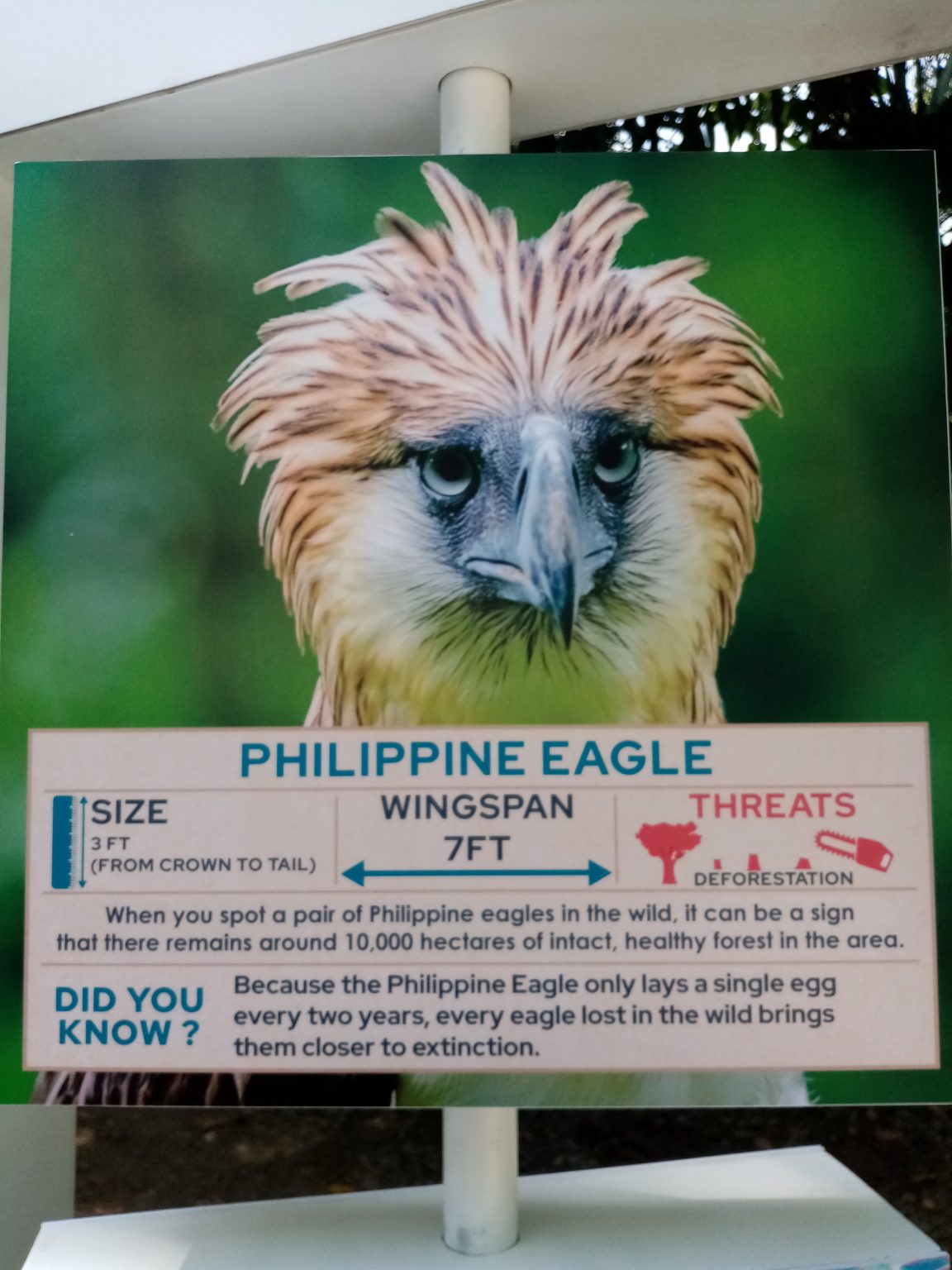 Protect Wildlife (Philippines) Philippine Clearing House Mechanism