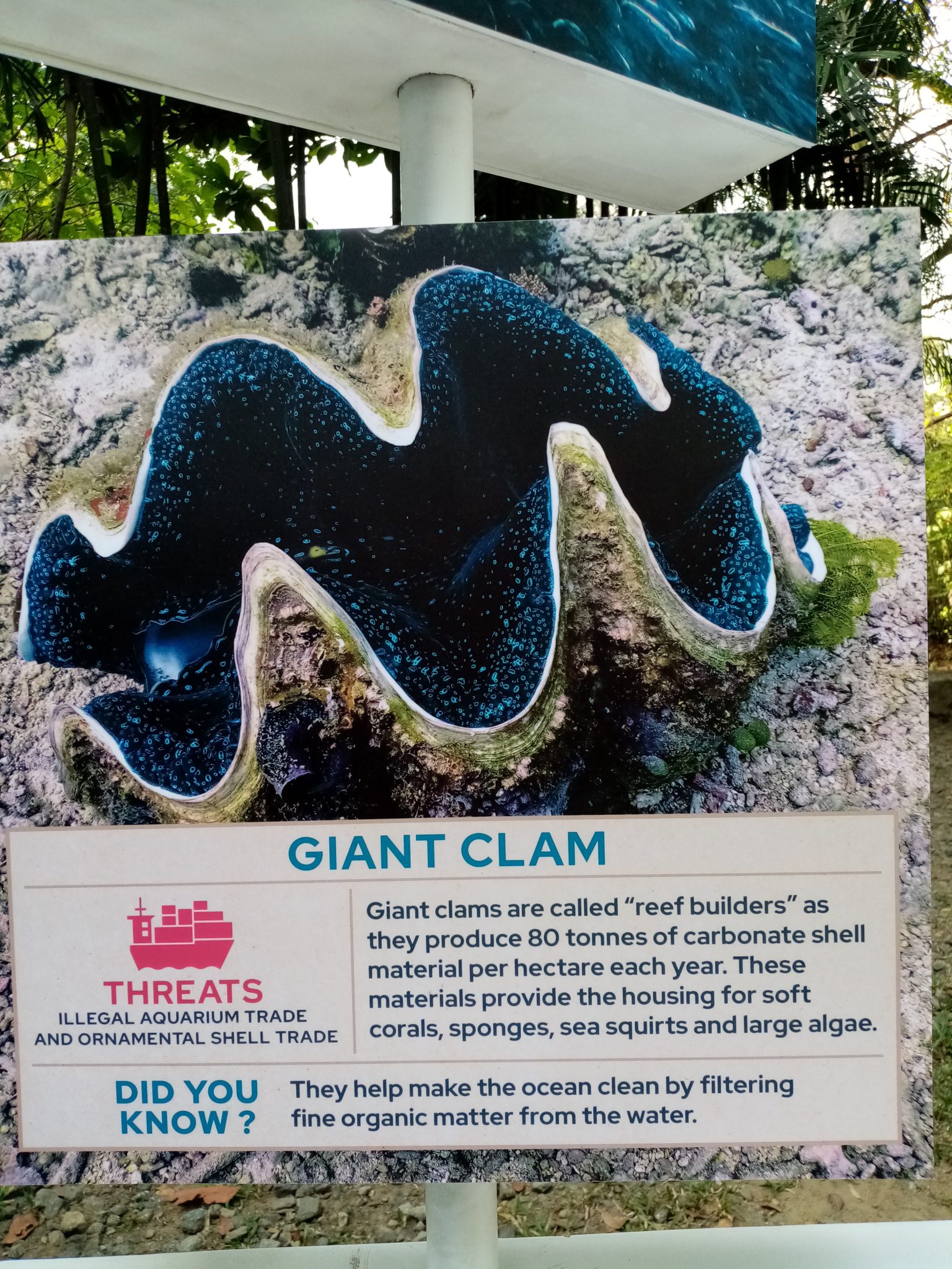 Protect Wildlife (Philippines) Philippine Clearing House Mechanism